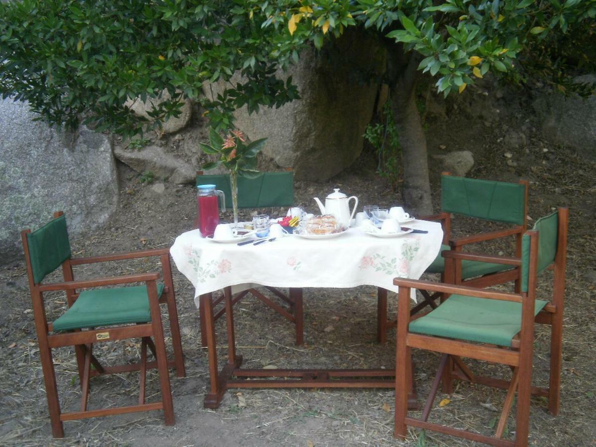 La Collina Dei Ciliegi Bed & Breakfast Sarule Exterior photo