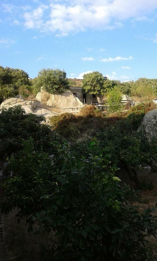 La Collina Dei Ciliegi Bed & Breakfast Sarule Exterior photo
